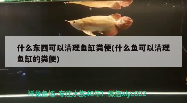 超白魚缸品牌十大排名圖片及價(jià)格介紹(超白魚缸十大名牌排行榜) 充氧泵