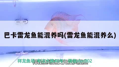 魚缸定時(shí)燈光怎么設(shè)置（森森魚缸照明燈怎么調(diào)） 魚缸百科 第3張