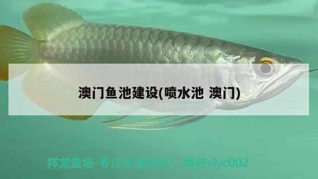 魚缸定時(shí)燈光怎么設(shè)置（森森魚缸照明燈怎么調(diào)） 魚缸百科 第2張