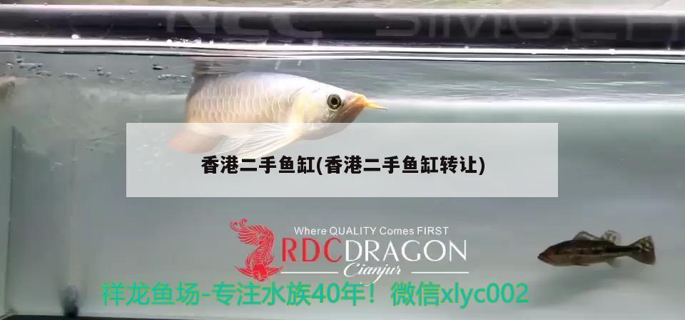 香港二手魚缸(香港二手魚缸轉讓)