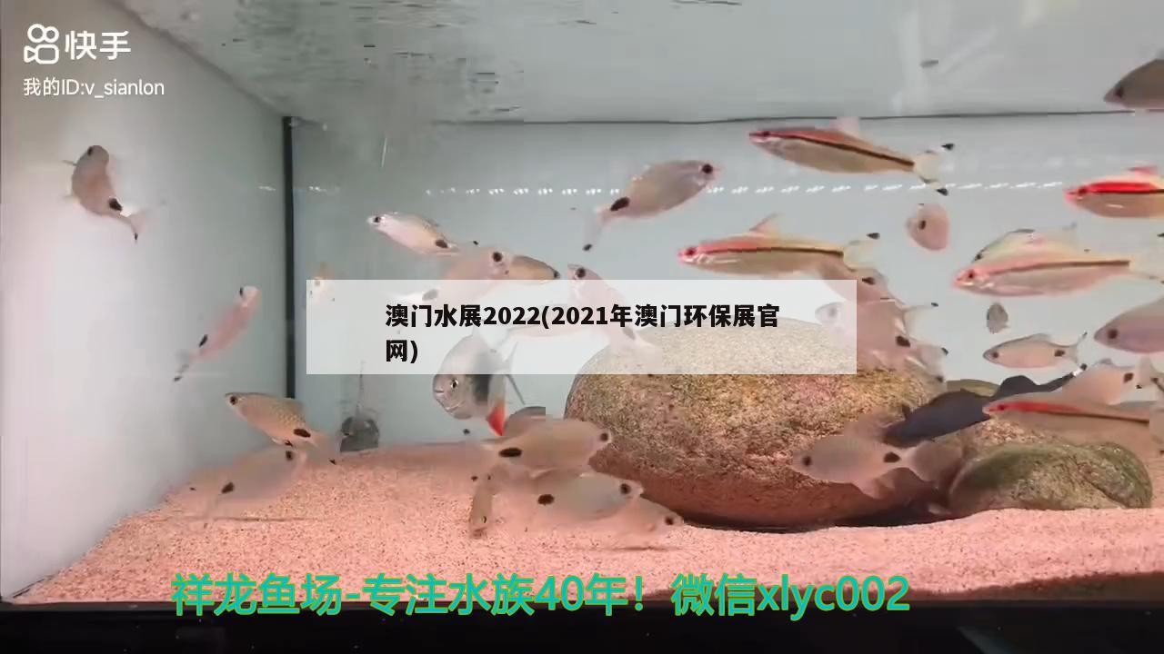 澳門水展2022(2021年澳門環(huán)保展官網(wǎng)) 廣州祥龍國(guó)際水族貿(mào)易