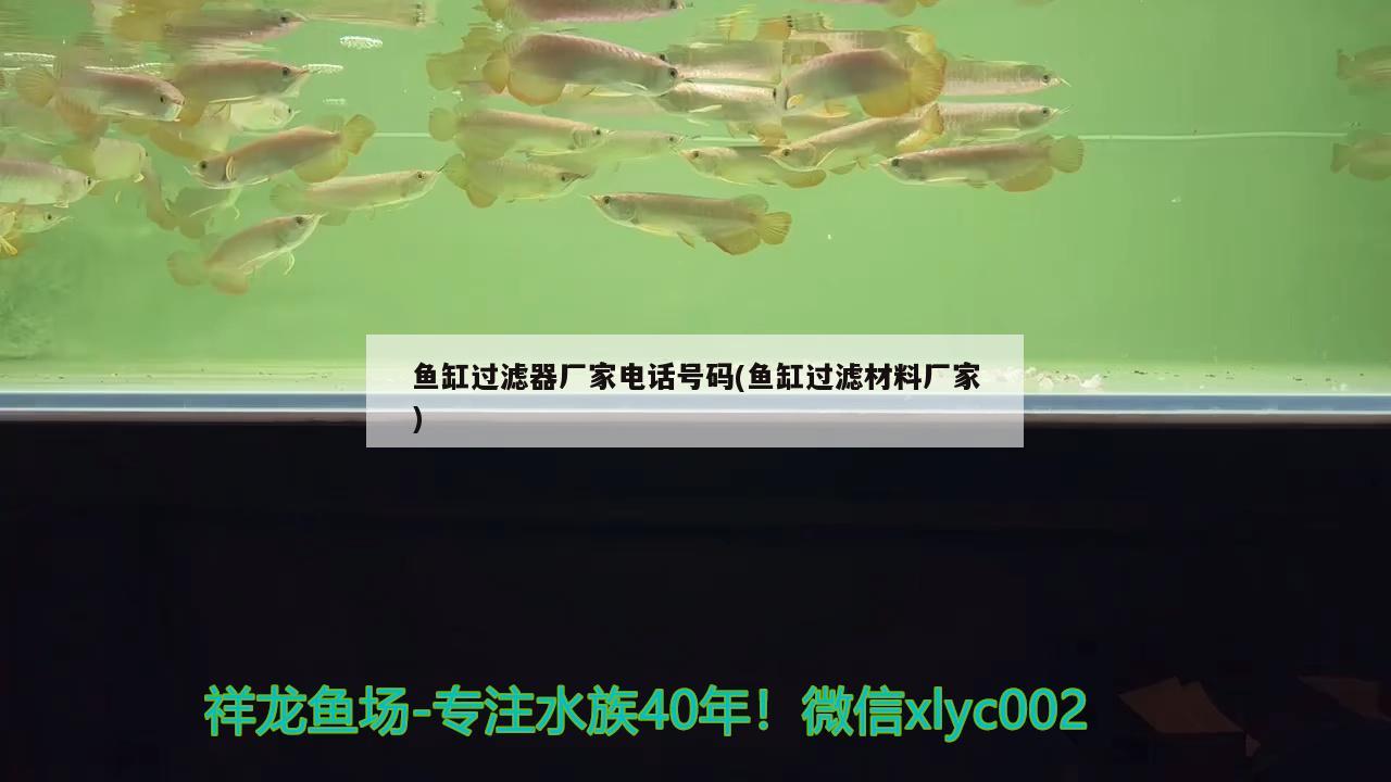 臨夏賣魚缸的地方在哪兒啊電話：臨夏二手魚缸 養(yǎng)魚的好處 第2張