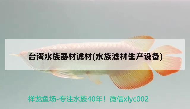 水中錦鯉：水中錦鯉盡歡暢 觀賞魚 第1張