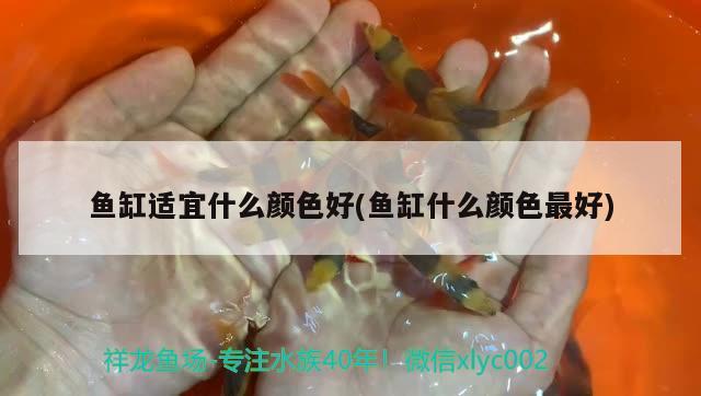 魚(yú)缸水質(zhì)不好加硝化細(xì)菌有用嗎(魚(yú)缸有沒(méi)有必要加硝化細(xì)菌) 硝化細(xì)菌