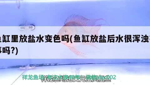 魚缸里放鹽水變色嗎(魚缸放鹽后水很渾濁有事嗎?) 水溫計