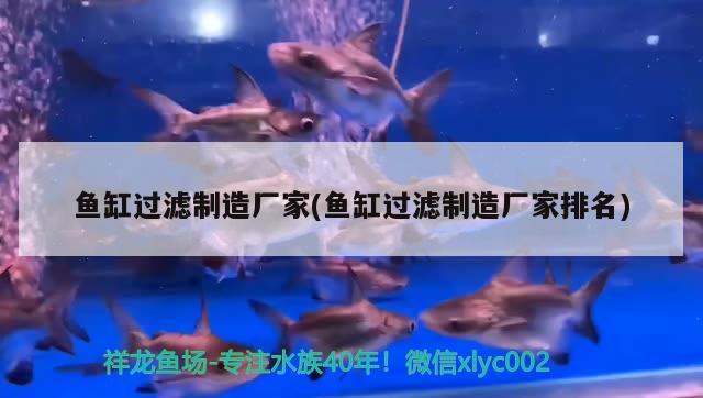 魚缸過濾制造廠家(魚缸過濾制造廠家排名) 魚缸百科