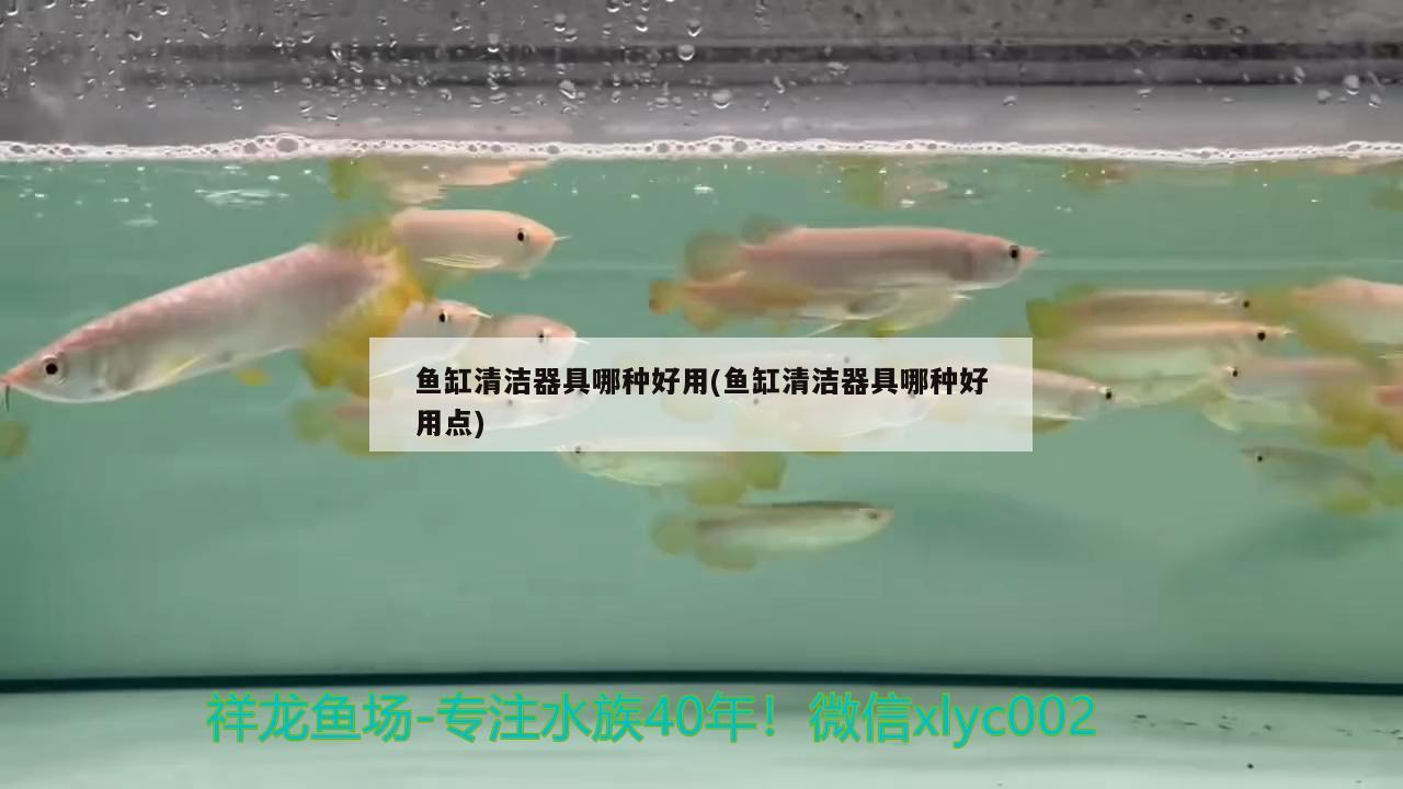 魚缸清潔器具哪種好用(魚缸清潔器具哪種好用點(diǎn)) 水溫計(jì)