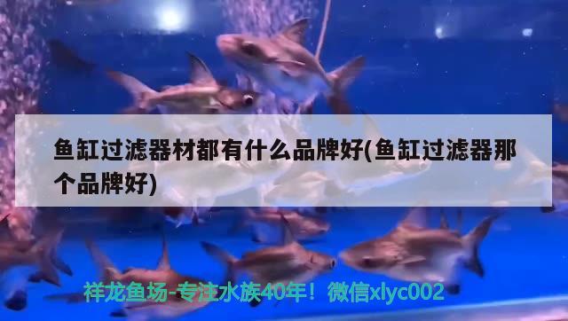 太原魚缸清洗服務(wù)電話是多少呀（太原上門修魚缸電話） 其他品牌魚缸 第2張