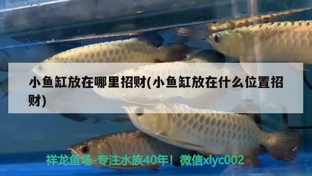 30魚(yú)缸多久換一次水，夏天魚(yú)缸多久換一次水