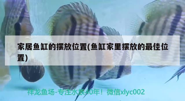 家居魚(yú)缸的擺放位置(魚(yú)缸家里擺放的最佳位置)