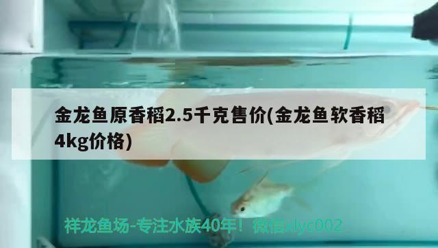 金龍魚原香稻2.5千克售價(金龍魚軟香稻4kg價格)