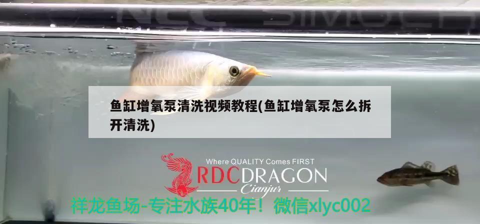 魚缸增氧泵清洗視頻教程(魚缸增氧泵怎么拆開清洗)