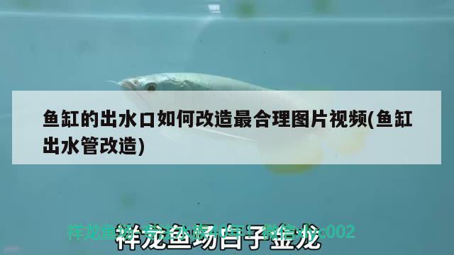 魚缸的出水口如何改造最合理圖片視頻(魚缸出水管改造)