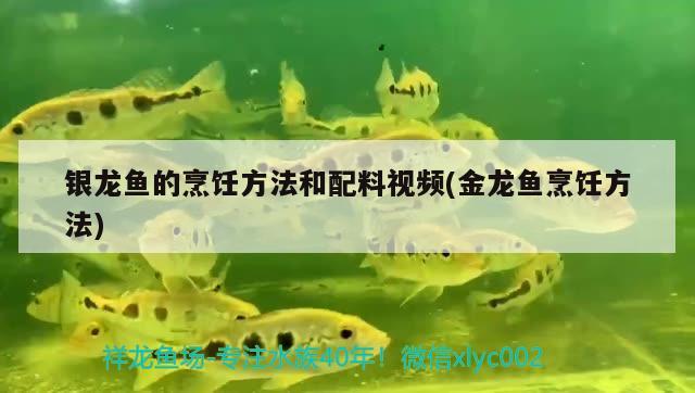 銀龍魚的烹飪方法和配料視頻(金龍魚烹飪方法) 銀龍魚