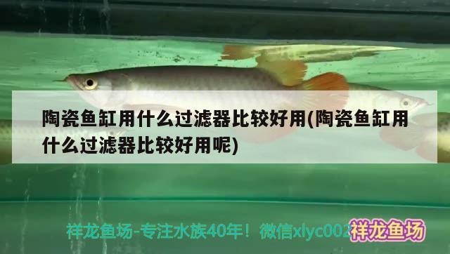 汾陽哪里有賣魚缸的：汾陽哪里賣漁具