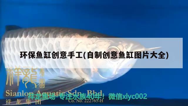 環(huán)保魚缸創(chuàng)意手工(自制創(chuàng)意魚缸圖片大全)