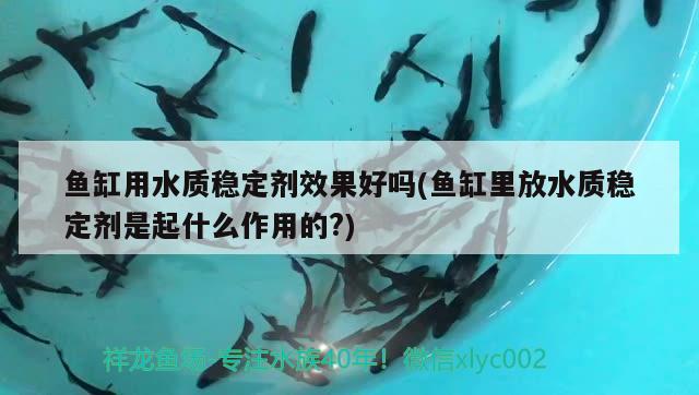 魚缸用水質(zhì)穩(wěn)定劑效果好嗎(魚缸里放水質(zhì)穩(wěn)定劑是起什么作用的?) 巴西亞魚苗