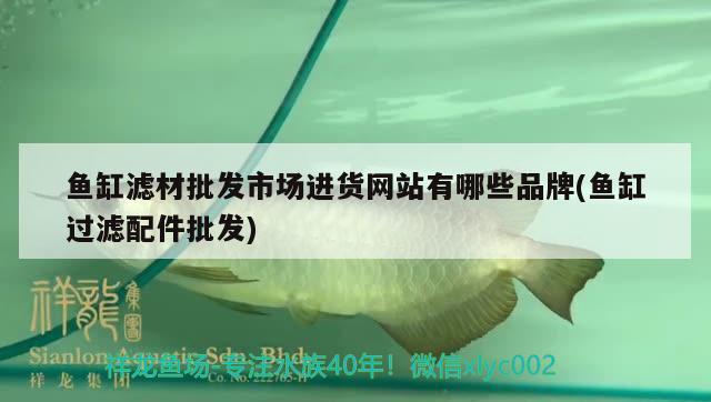 魚缸濾材批發(fā)市場(chǎng)進(jìn)貨網(wǎng)站有哪些品牌(魚缸過(guò)濾配件批發(fā)) 巴西亞魚