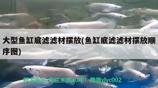 大型魚(yú)缸底濾濾材擺放(魚(yú)缸底濾濾材擺放順序圖) 蘇虎