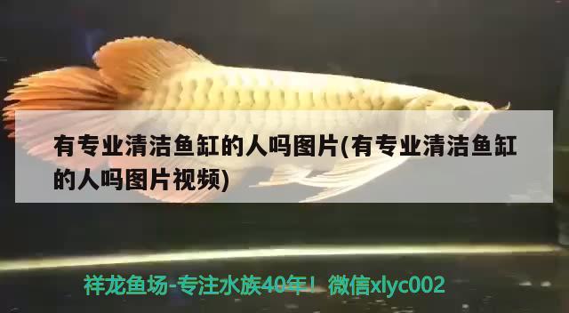 有專業(yè)清潔魚缸的人嗎圖片(有專業(yè)清潔魚缸的人嗎圖片視頻) iwish愛唯希品牌魚缸