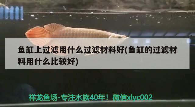 魚缸上過濾用什么過濾材料好(魚缸的過濾材料用什么比較好) 照明器材