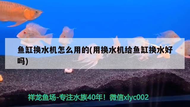 魚(yú)缸換水機(jī)怎么用的(用換水機(jī)給魚(yú)缸換水好嗎) 鐵甲武士