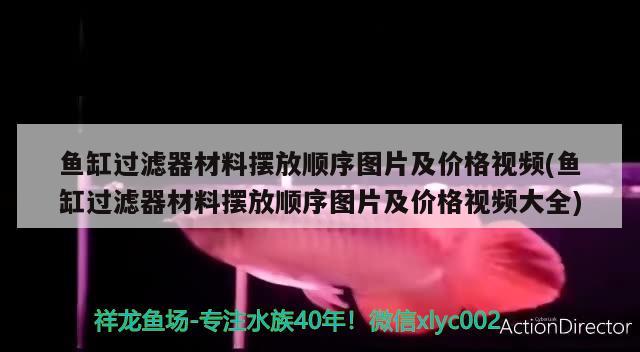 魚缸過濾器材料擺放順序圖片及價格視頻(魚缸過濾器材料擺放順序圖片及價格視頻大全) 白化巴西龜（白巴）