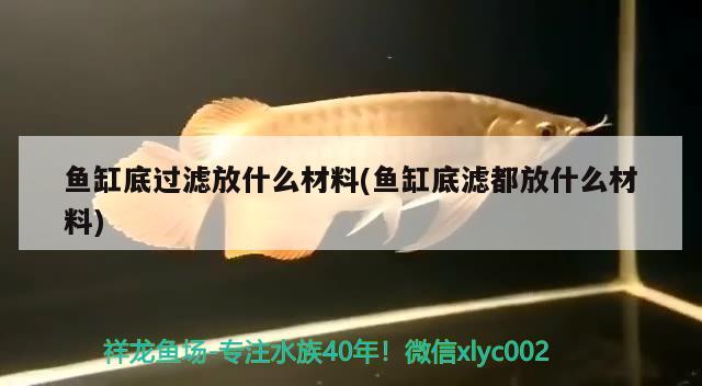 魚缸底過濾放什么材料(魚缸底濾都放什么材料) 杰西卡恐龍魚