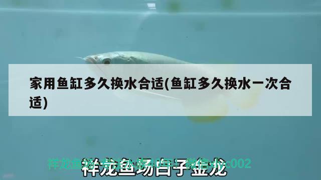 家用魚缸多久換水合適(魚缸多久換水一次合適)