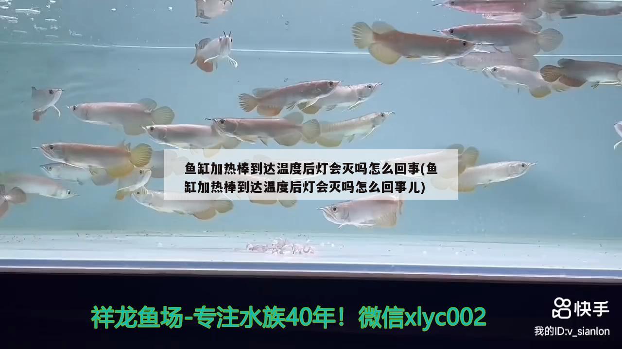 魚缸加熱棒到達(dá)溫度后燈會(huì)滅嗎怎么回事(魚缸加熱棒到達(dá)溫度后燈會(huì)滅嗎怎么回事兒)