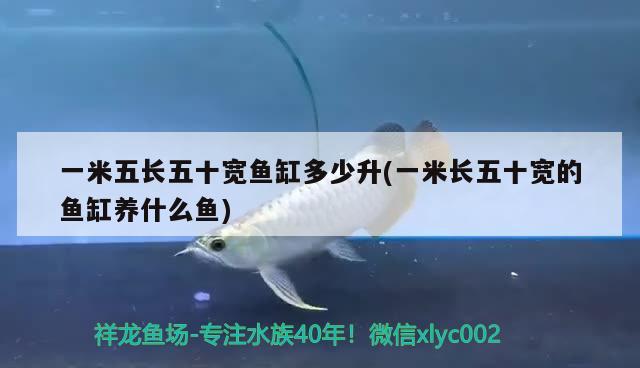 一米五長五十寬魚缸多少升(一米長五十寬的魚缸養(yǎng)什么魚) 銀龍魚苗