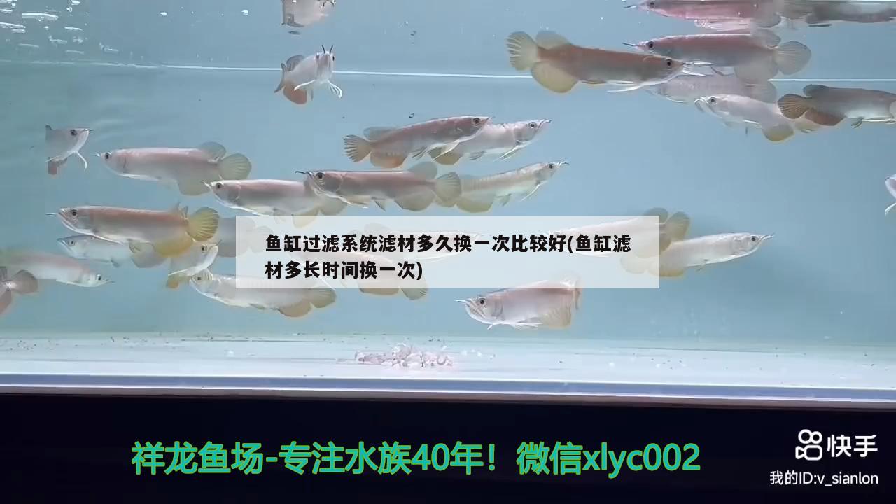 魚(yú)缸過(guò)濾系統(tǒng)濾材多久換一次比較好(魚(yú)缸濾材多長(zhǎng)時(shí)間換一次)