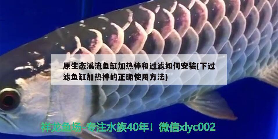 原生態(tài)溪流魚缸加熱棒和過濾如何安裝(下過濾魚缸加熱棒的正確使用方法) 魚缸凈水劑 第3張