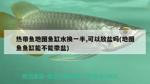 熱帶魚地圖魚缸水換一半,可以放鹽嗎(地圖魚魚缸能不能撒鹽) 黑桃A魚