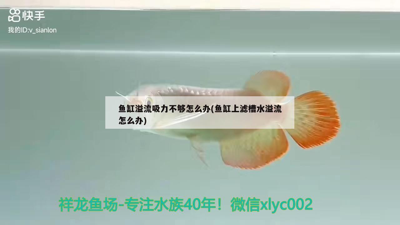 魚缸溢流吸力不夠怎么辦(魚缸上濾槽水溢流怎么辦)