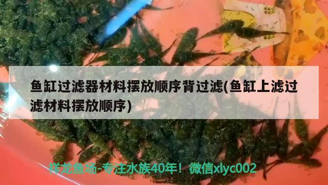 魚缸過濾器材料擺放順序背過濾(魚缸上濾過濾材料擺放順序) 蝴蝶鯉