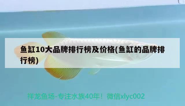 魚缸10大品牌排行榜及價格(魚缸的品牌排行榜)