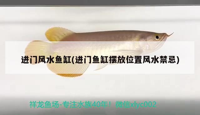 進(jìn)門風(fēng)水魚缸(進(jìn)門魚缸擺放位置風(fēng)水禁忌) 魚缸風(fēng)水 第2張