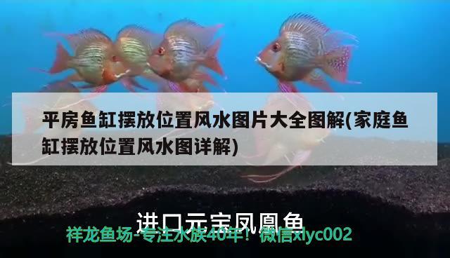 平房魚缸擺放位置風水圖片大全圖解(家庭魚缸擺放位置風水圖詳解) 魚缸風水