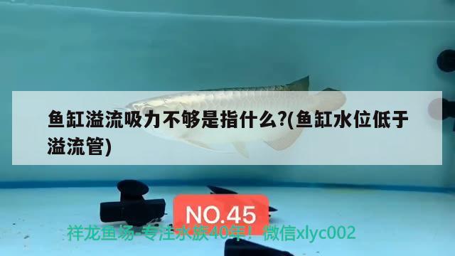 魚(yú)缸溢流吸力不夠是指什么?(魚(yú)缸水位低于溢流管)