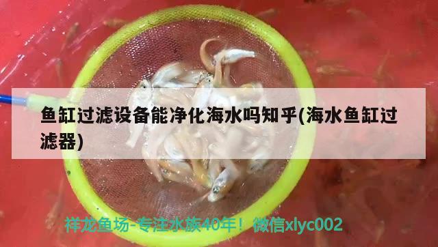 魚缸過濾設備能凈化海水嗎知乎(海水魚缸過濾器) 海水魚 第2張