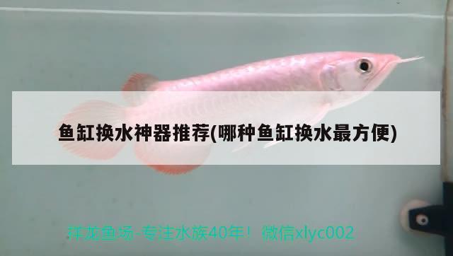 魚(yú)缸換水神器推薦(哪種魚(yú)缸換水最方便) 魟魚(yú)百科