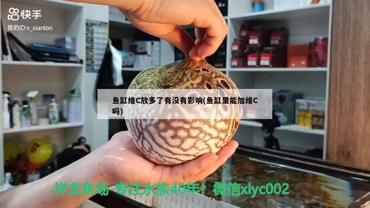 魚缸維C放多了有沒有影響(魚缸里能加維C嗎)