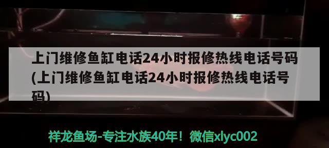 上門維修魚缸電話24小時報修熱線電話號碼(上門維修魚缸電話24小時報修熱線電話號碼) 純血皇冠黑白魟魚