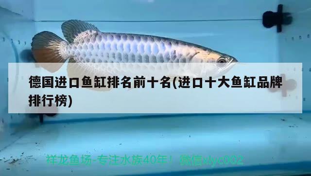 德國(guó)進(jìn)口魚(yú)缸排名前十名(進(jìn)口十大魚(yú)缸品牌排行榜) 印尼小紅龍