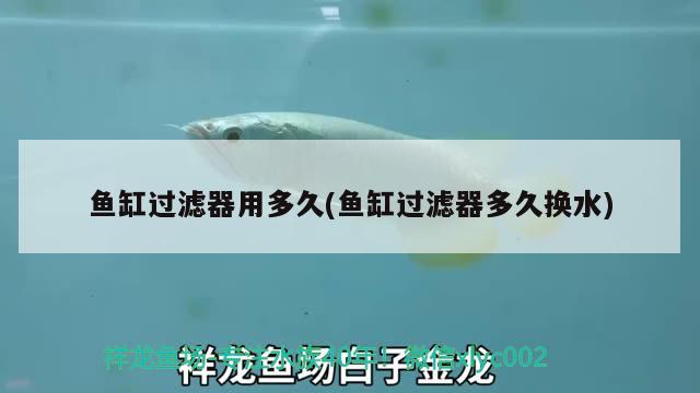 金龍魚是怎么繁殖的？，金龍魚是怎么孵化的，金龍魚是怎么繁殖的