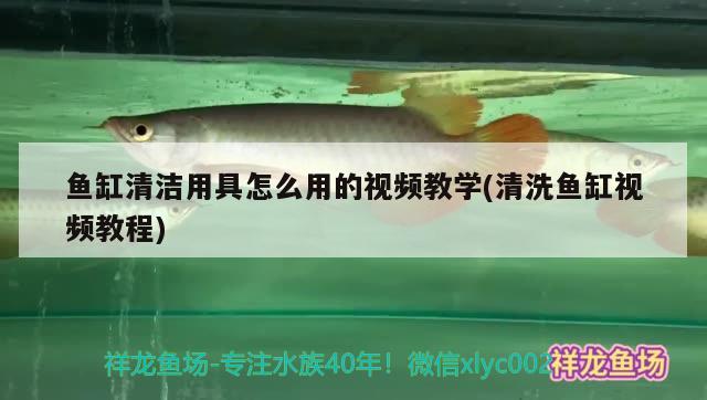 魚缸清潔用具怎么用的視頻教學(清洗魚缸視頻教程) 廣州祥龍國際水族貿易