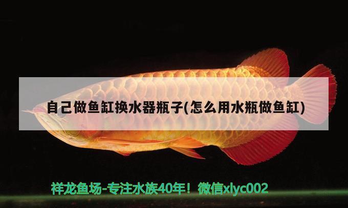 自己做魚缸換水器瓶子(怎么用水瓶做魚缸) 伊巴卡魚