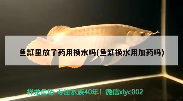 魚缸里放了藥用換水嗎(魚缸換水用加藥嗎) 祥龍水族濾材/器材