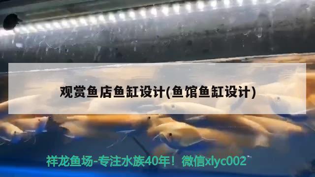 觀賞魚店魚缸設(shè)計(jì)(魚館魚缸設(shè)計(jì)) 三間鼠魚